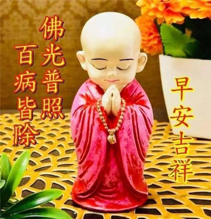 "动感影集"免费订阅