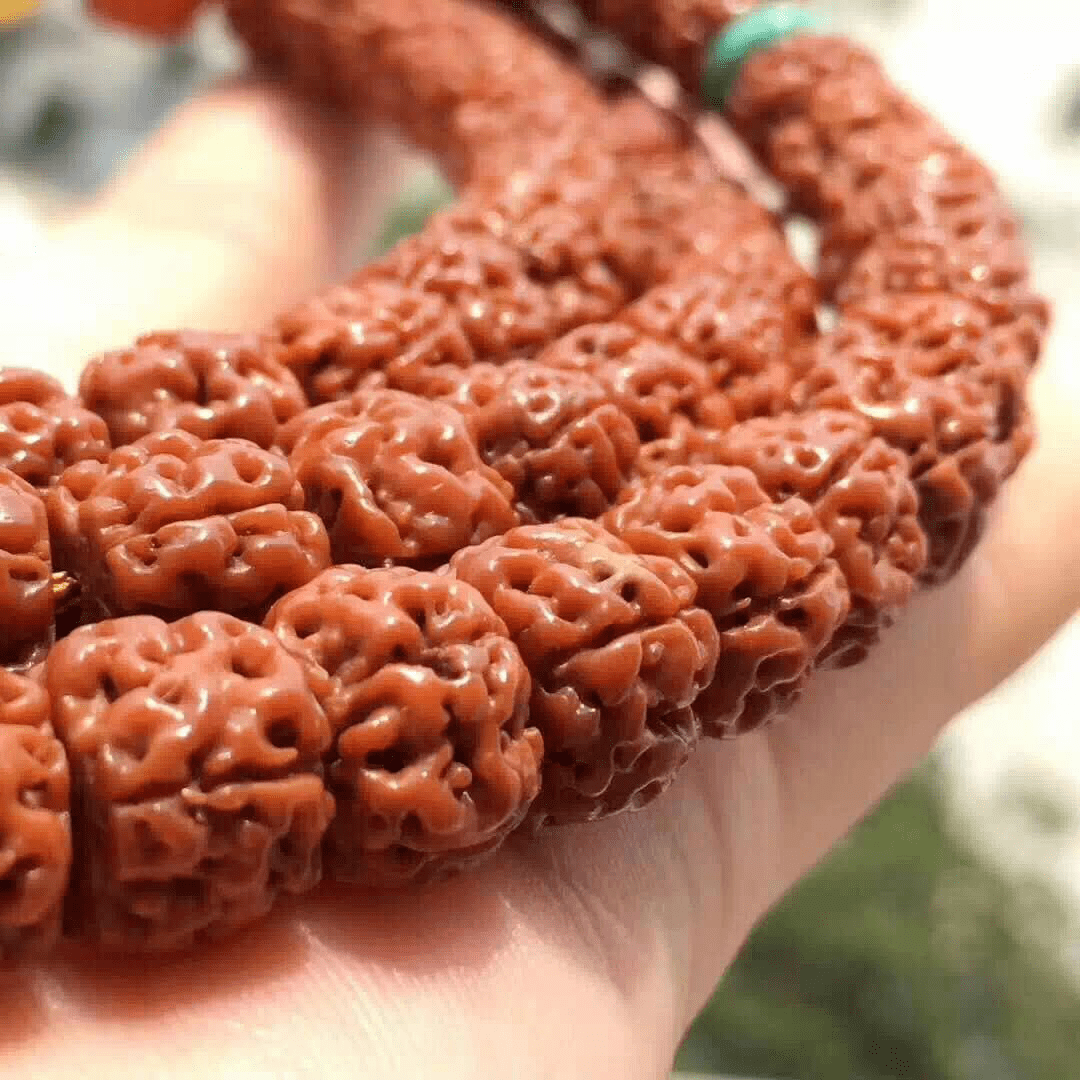 金刚菩提几大怕躲过了才能盘出牛津红