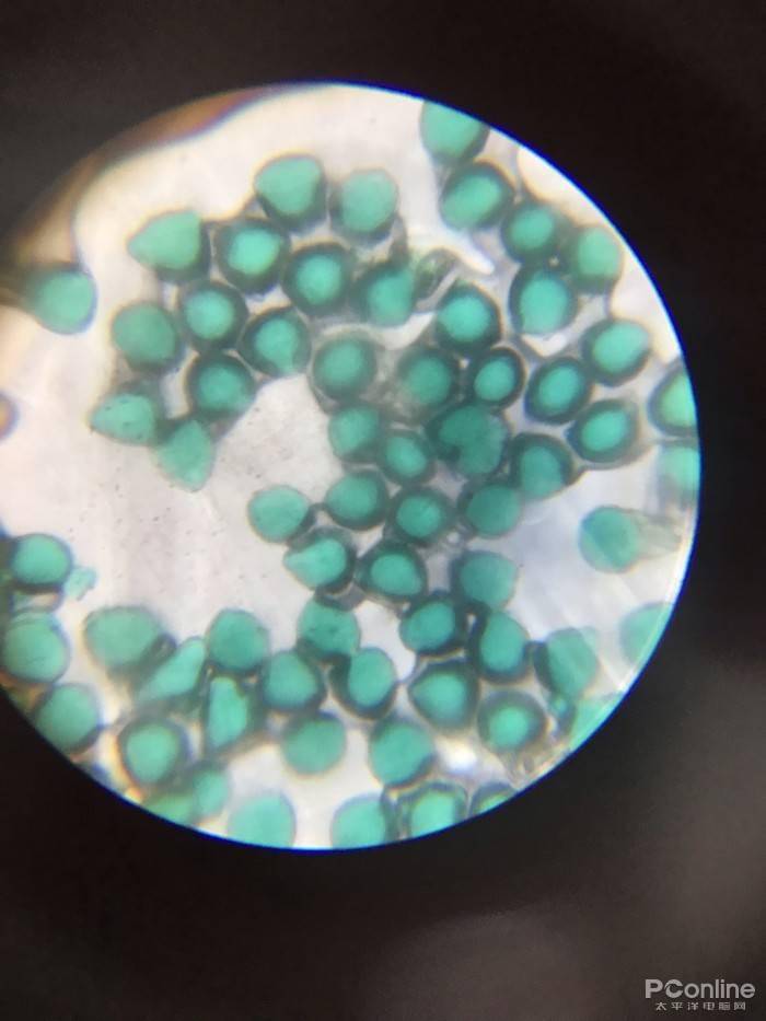 oppofindx3显微镜功能体验能够摸到光学显微镜的车尾灯吗