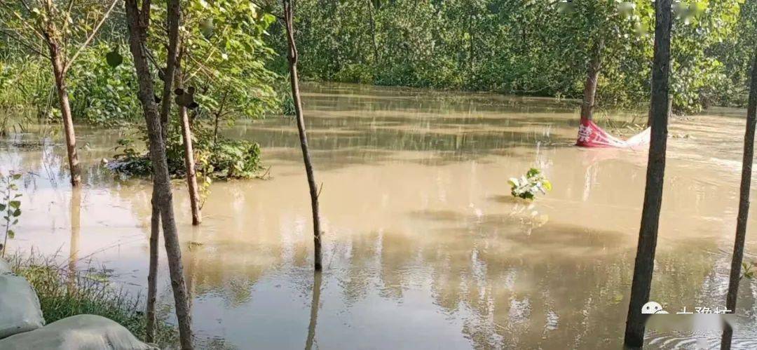 晨之风随笔在扶沟灾区感受爱心力量67
