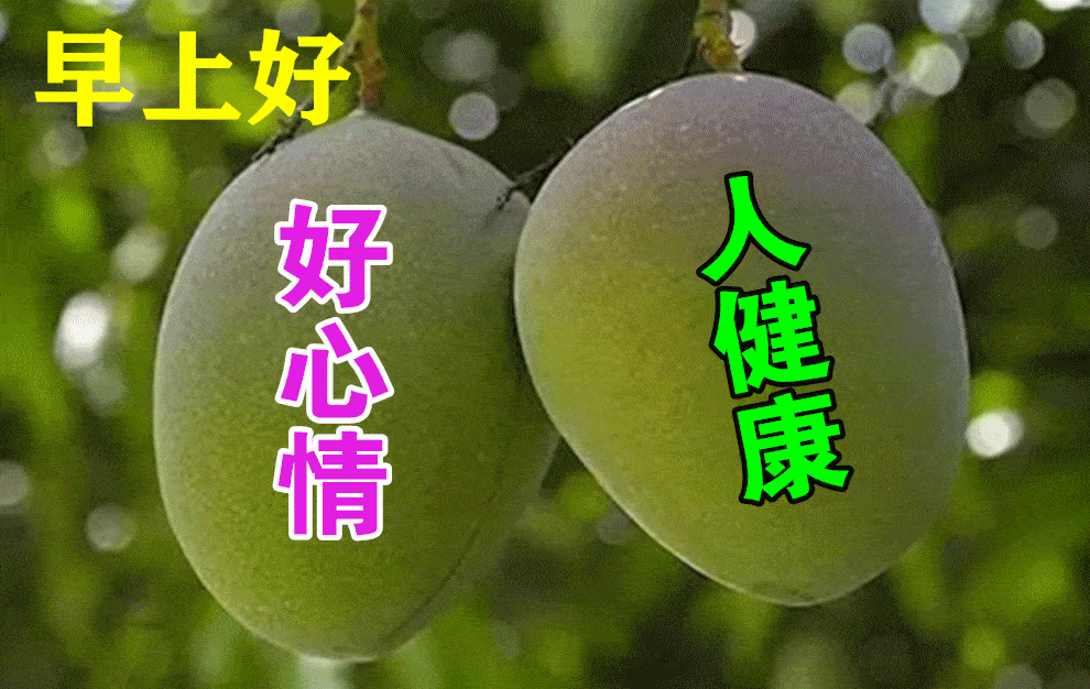 最漂亮早上好动态表情图片大全早晨好动图美图大全
