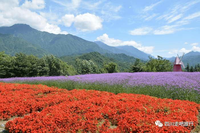 森林覆盖率达95%以上在离成都市不远的彭州市小鱼洞镇熊猫香山小鱼洞