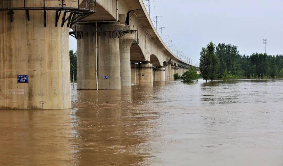 扶沟的洪水到底有多大我看哭了