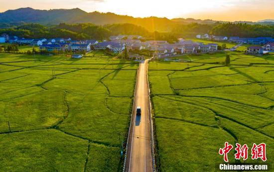 乡村|【沿着高速看中国】航拍江西乡村夏日田园 公路交错风光秀美