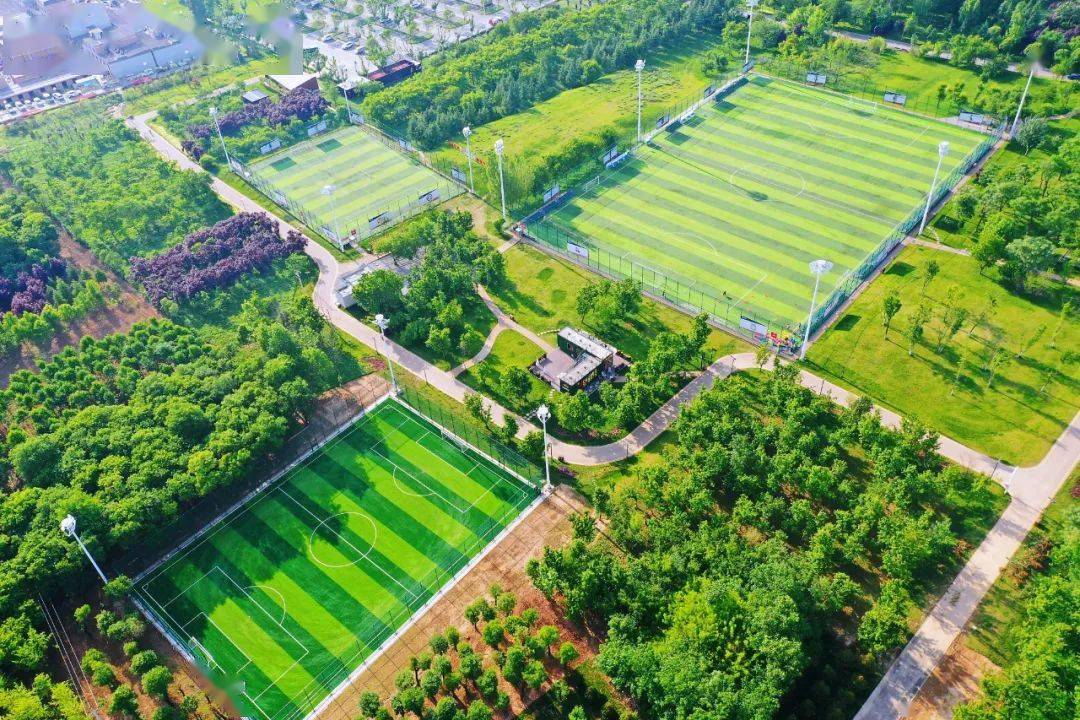 住在南郊这两个运动场地你打卡过吗