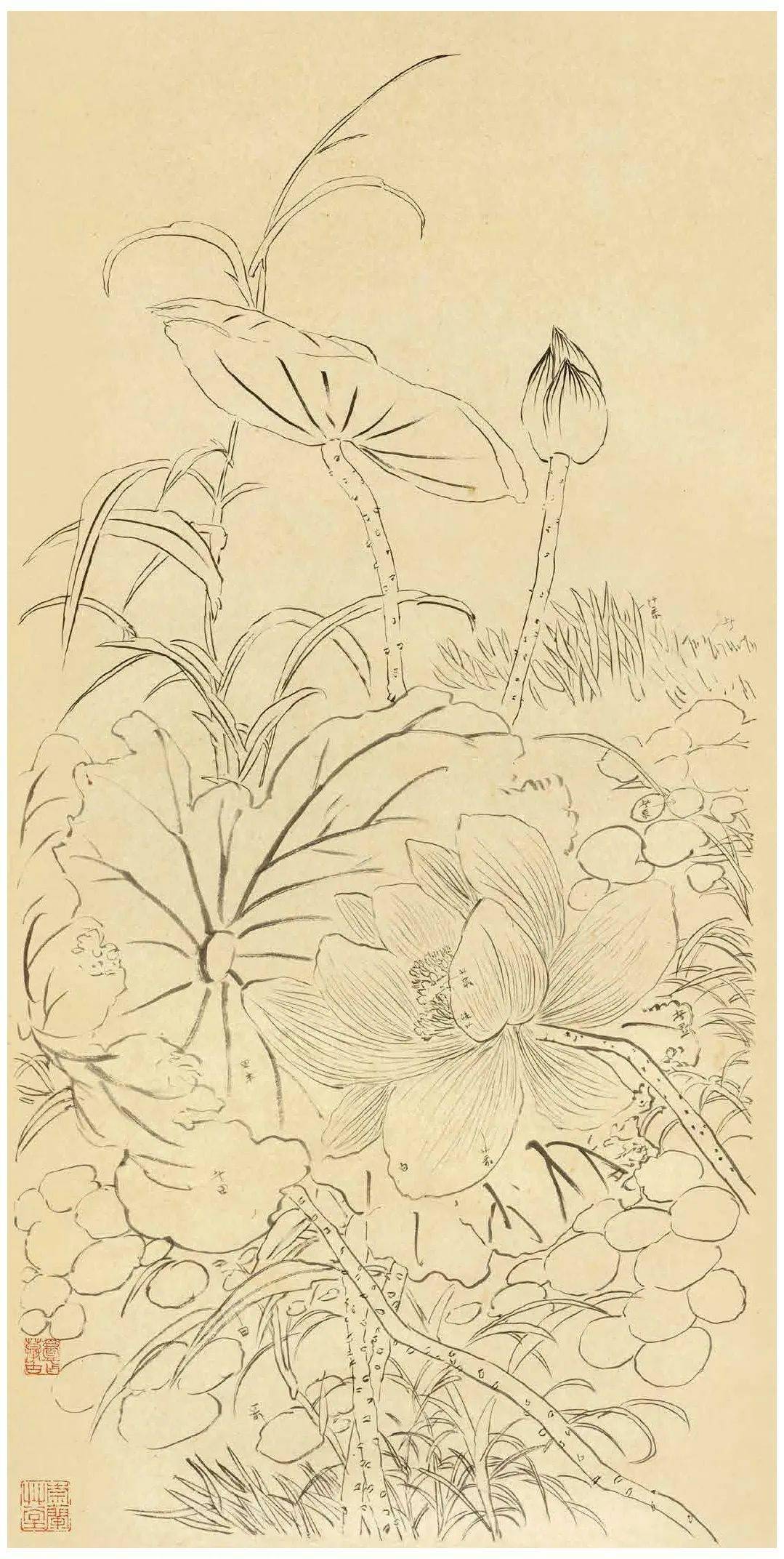 陆抑非白描花鸟课徒稿