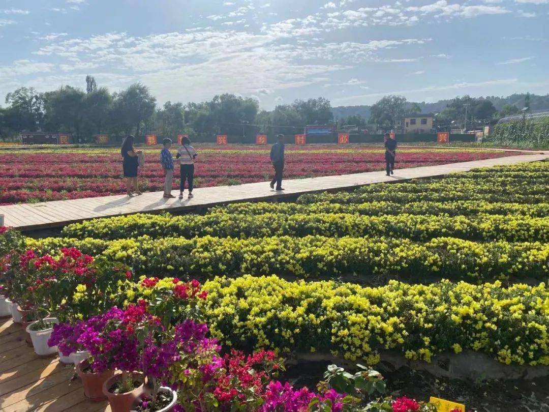 花海、美食、蹦床、碰碰车，网红拍照，就来这里一站式解决！