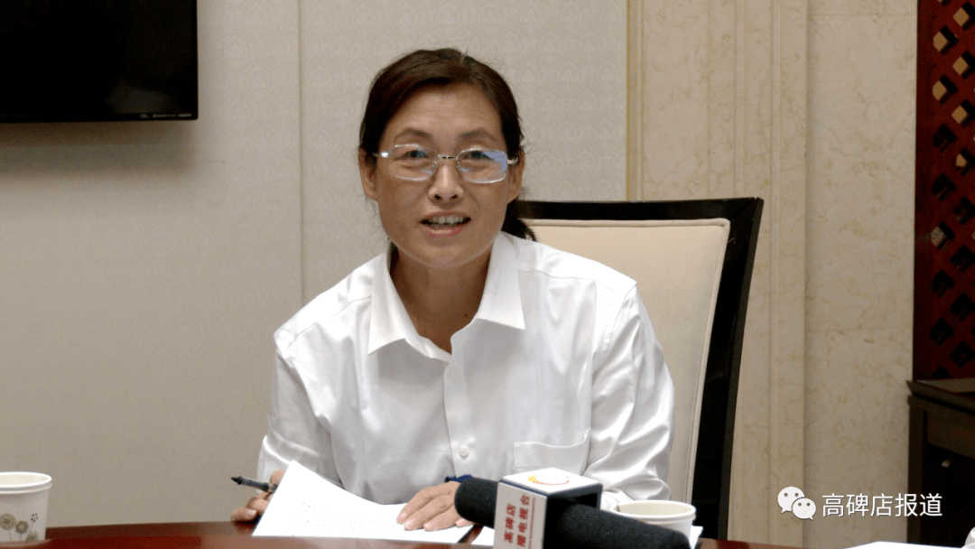 高碑店市人大代表分团讨论审议政府工作报告