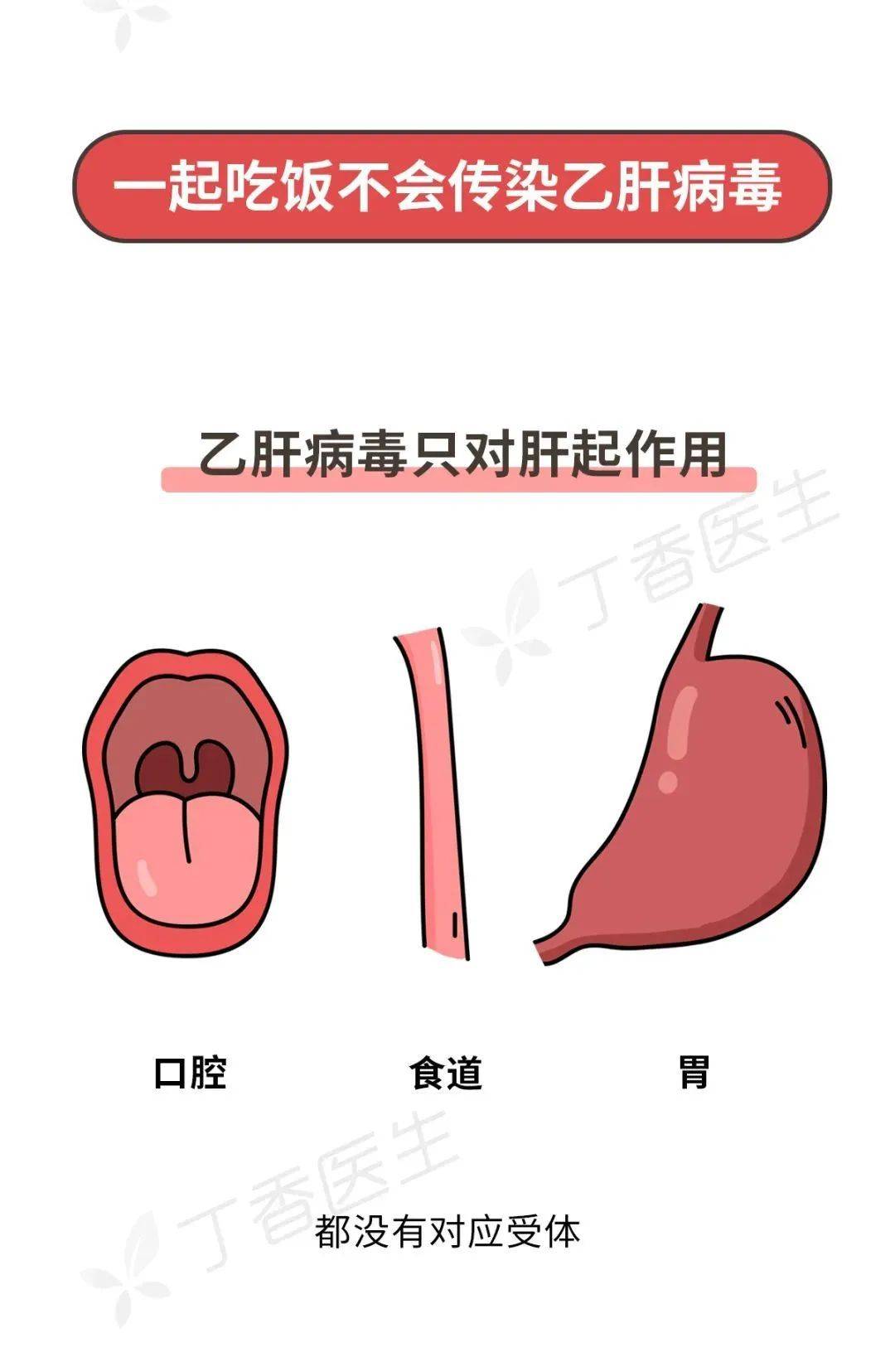 罪魁祸首|我国80%肝癌背后的罪魁祸首，一个办法就能有效预防