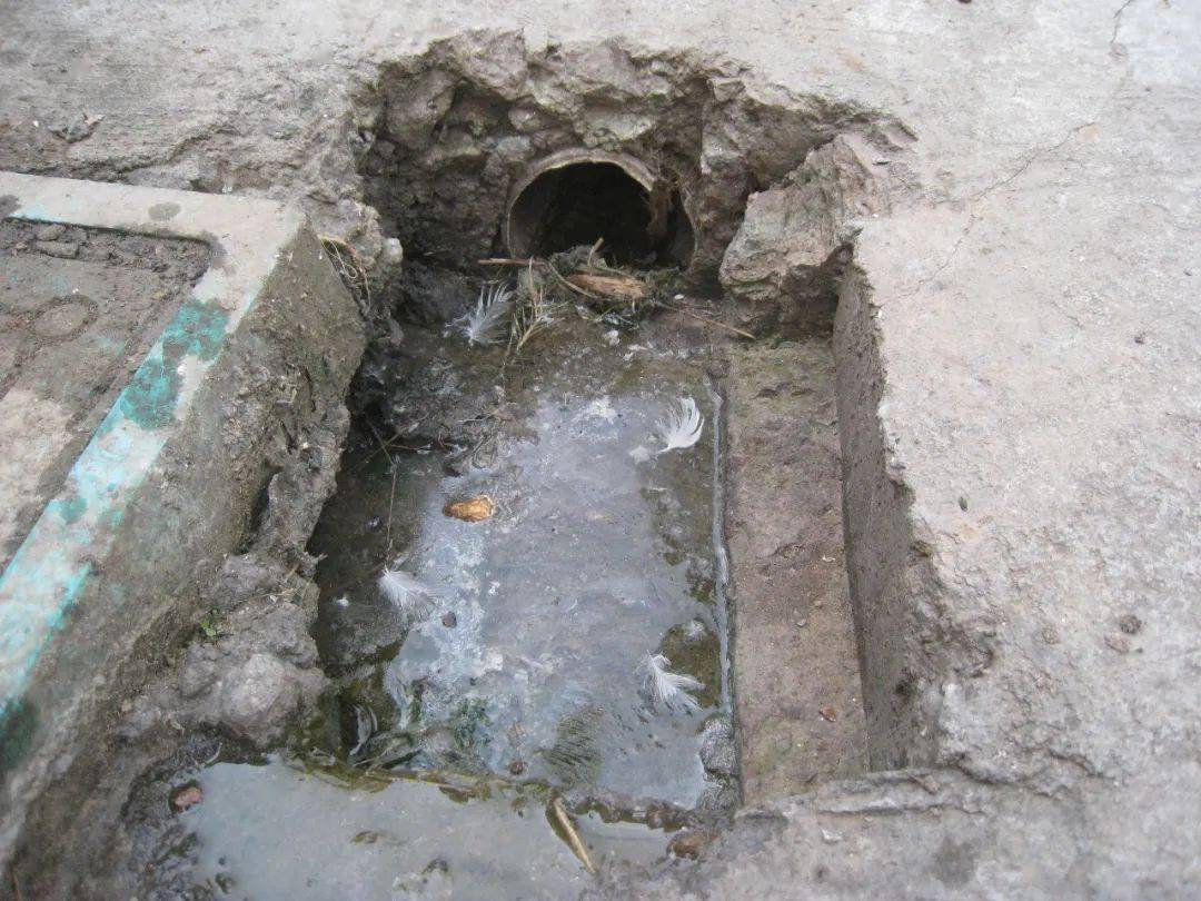 水渠,水沟和下水道等雨污排水系统,要定期清理污泥,硬边硬底,保持水流