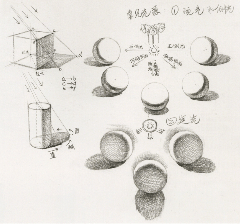 素描静物刻画抓住这几点不怕形体透视不准黑白灰拉不开