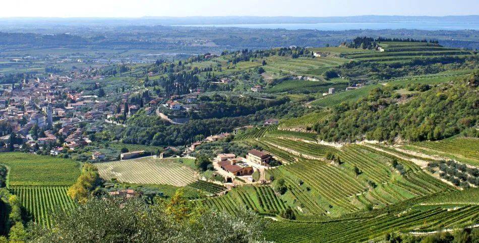 Wine|170家酒庄，意大利一出手就是王炸