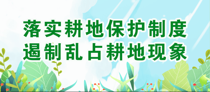 蒙自市把做好耕地保护作为推进经济社会发展的底线来抓,采取"长牙齿"