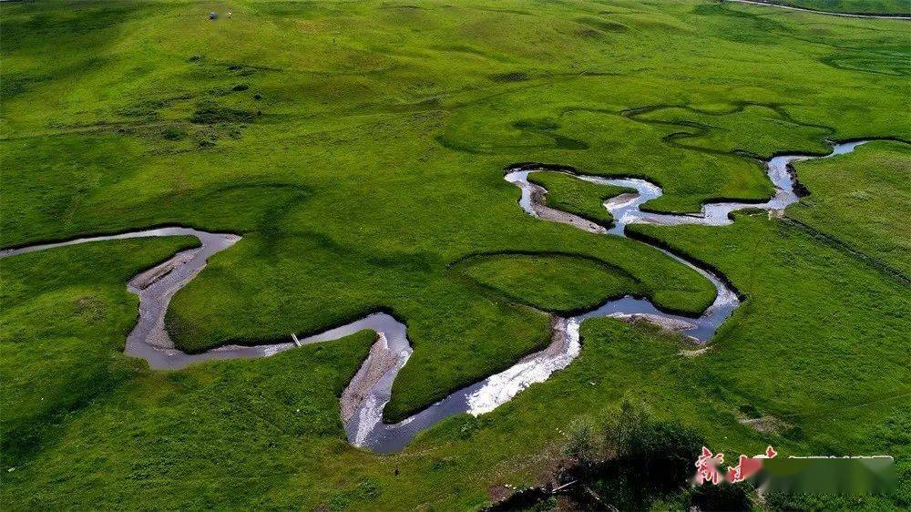 夏日岷县有一片草原叫狼渡滩