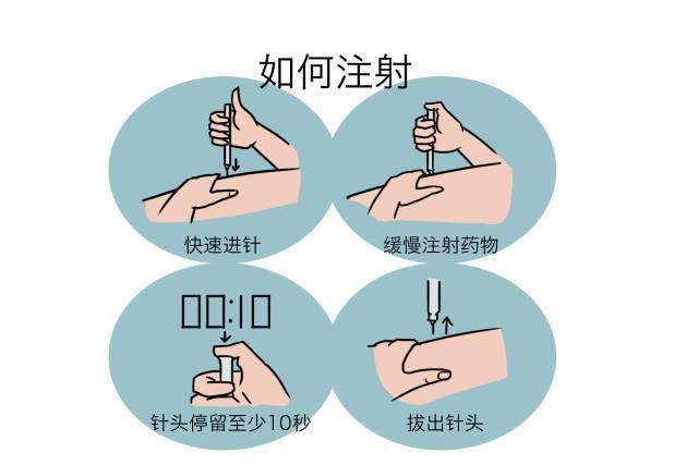 4b5c2b951e234d0b9e7f19e70bab5144.jpeg