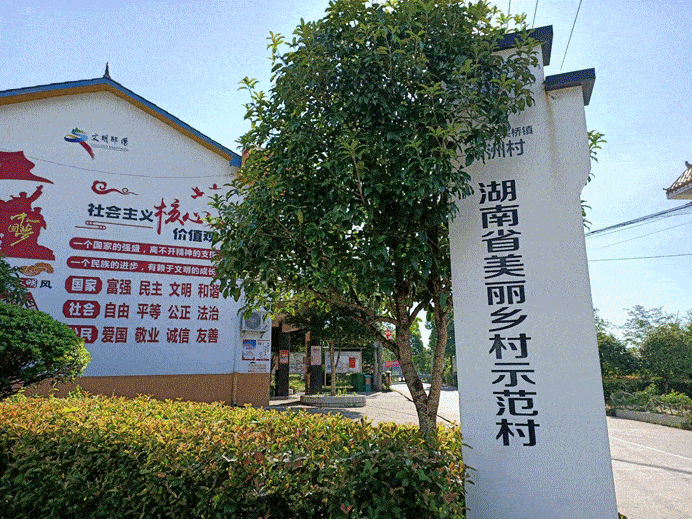 邵阳学子三下乡:探秘美丽乡村示范村,助力建设乡村振兴梦