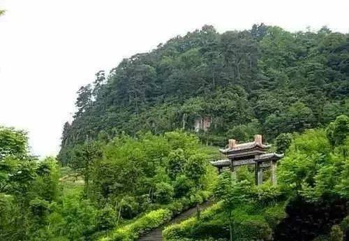 盡情避暑納涼 聖燈山森林公園 聖燈山森林公園坐落在重慶市巴南區 距