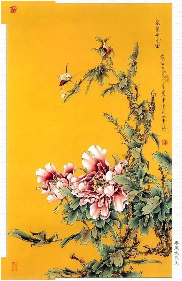 王道中工笔牡丹欣赏,张张精彩!_花鸟画