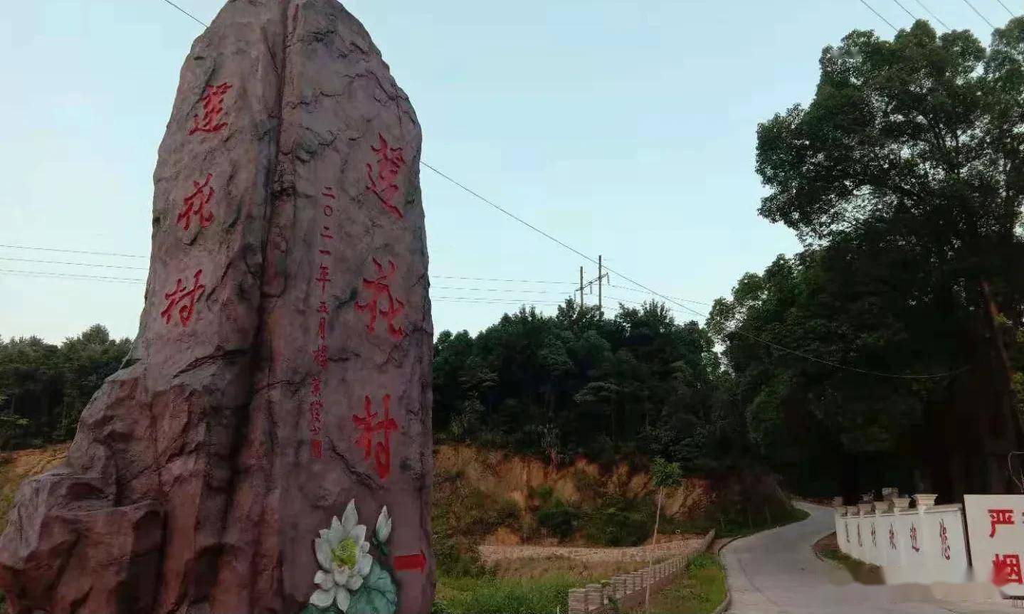 澧县码头铺镇莲花村:干群同心促振兴