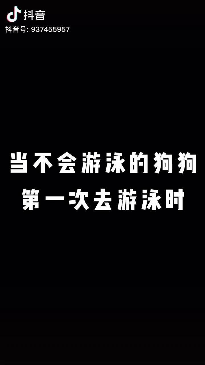 说出来你可能不信,我家狗差点淹死了混凎 萌宠 dou 小助手