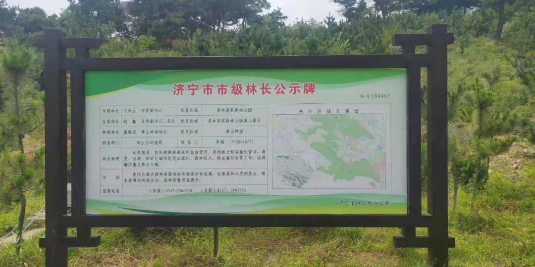 济宁市坚持造管并重 科学KK体育推进国土绿化(图5)