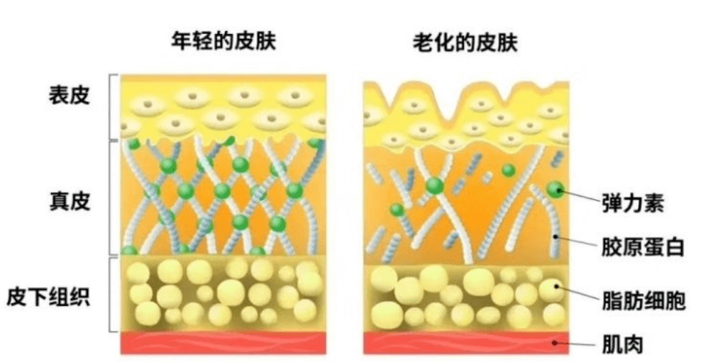 玛吉|孕期渣男出轨，导致终身不孕；终遇良人，老公却又死于意外，她太惨了