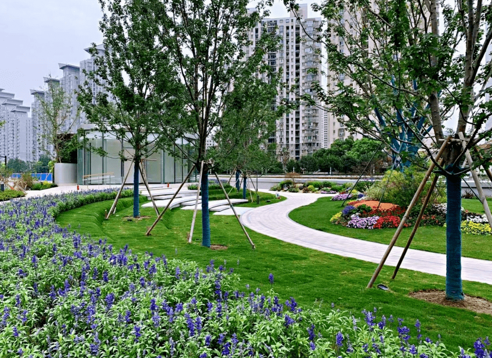 探索4359㎡苏河贯通腹地这片公共绿地基本建成