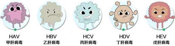 病毒|世界肝炎日| 请收好这份“肝”货
