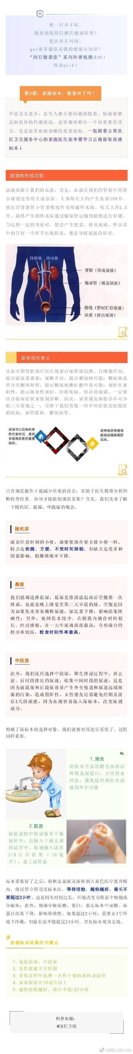 代謝|尿液標本，您留對了嗎？
