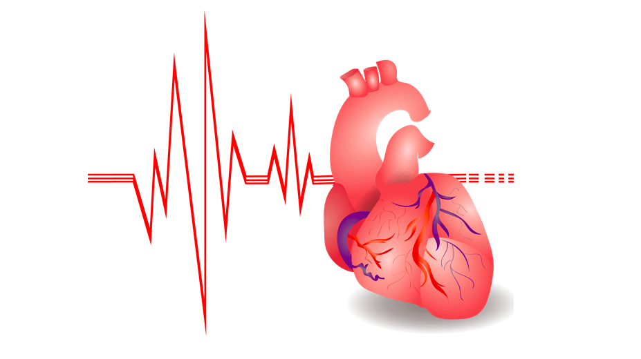 经历了长达几个小时的高强度运动,此时心脏的负荷已经到达极限