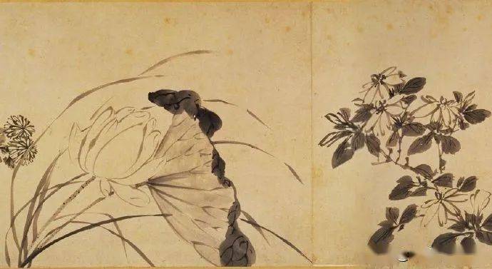 明代绘画大师白阳山人陈淳书画作品欣赏