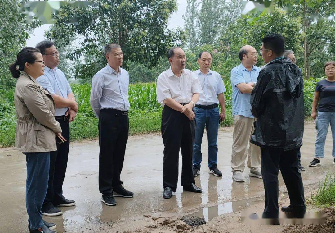 7月29日,楊文明首先到降雨量較大的虞城縣聞集鄉盧營村實地查看玉米