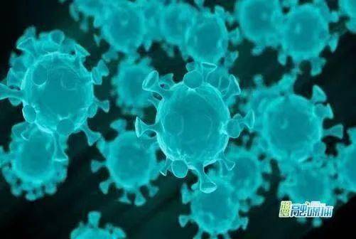 南京病毒
,南京病毒感染最新消息现在情况-图1 南京病毒
,南京病毒感染最新消息现在情况-图1