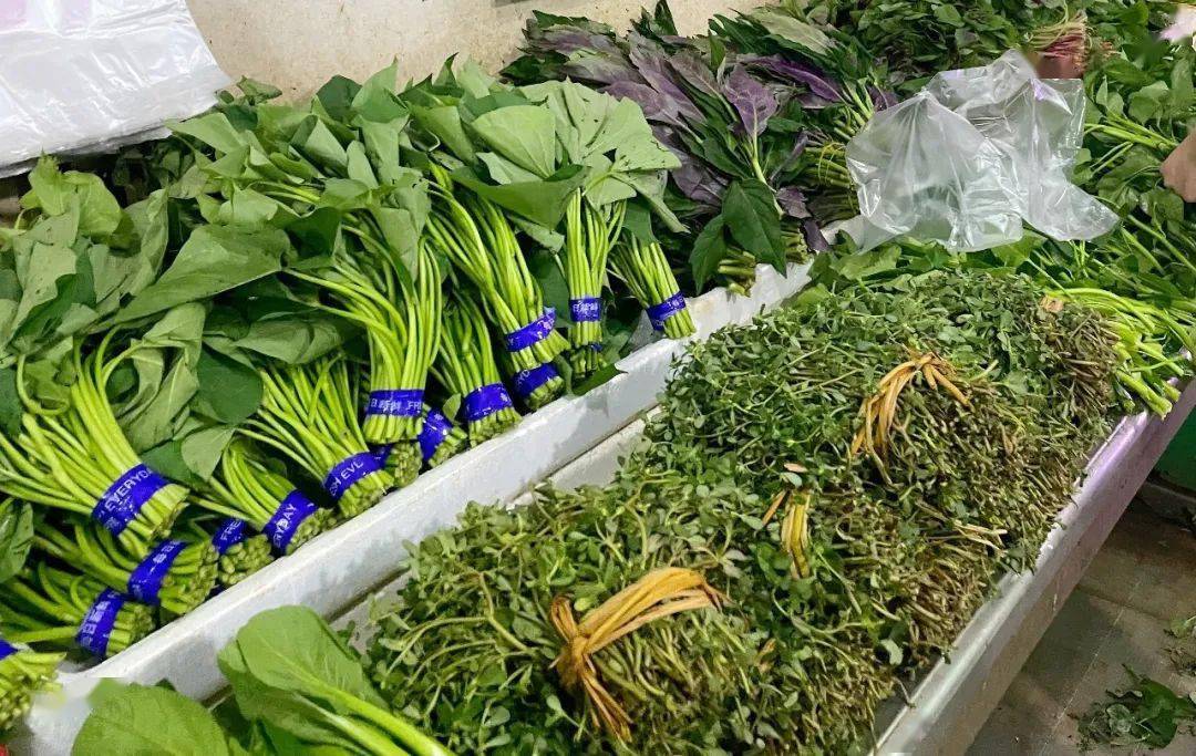 8月1日上午,重庆两江新区,麦德龙超市内蔬菜供应充足 邹乐 摄