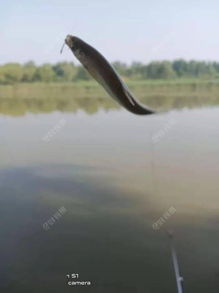 e1eb51d18cf6454986e267ee8088e96f.jpeg