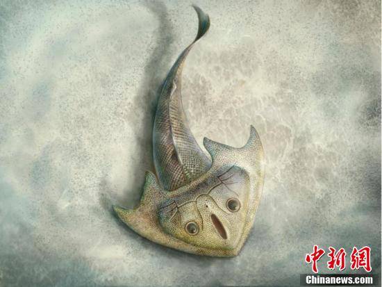 中科院|中国学者研究发现最古老三尖鱼类：4.19亿年前“刘氏镰角鱼”