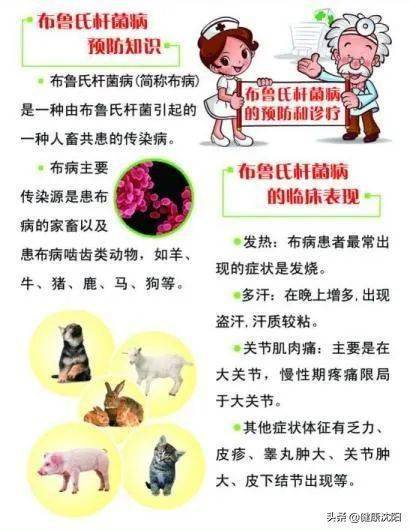 b19a36060ae14dbeabf75203994cd8f2.jpeg