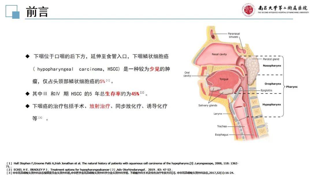 【ppt病例分享】一例下咽癌合并三级放射性皮炎患者的营养个案_杨瑞