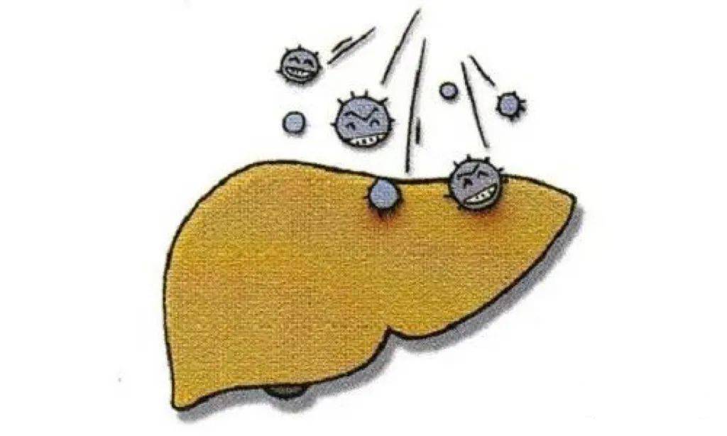 治疗|科普 | 从乙肝到肝硬化，需要多久？