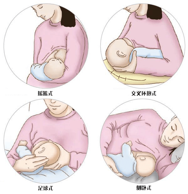 什么时候开始有母乳 9bf832e703fe47fe8a55d1511c1d9c93.png