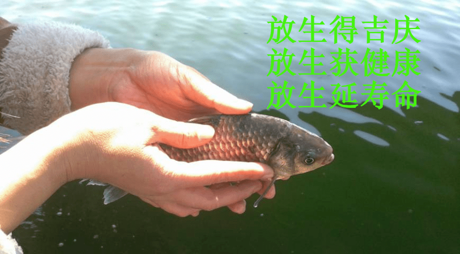a007294a082b443abaf9d99cbccd1e70.png