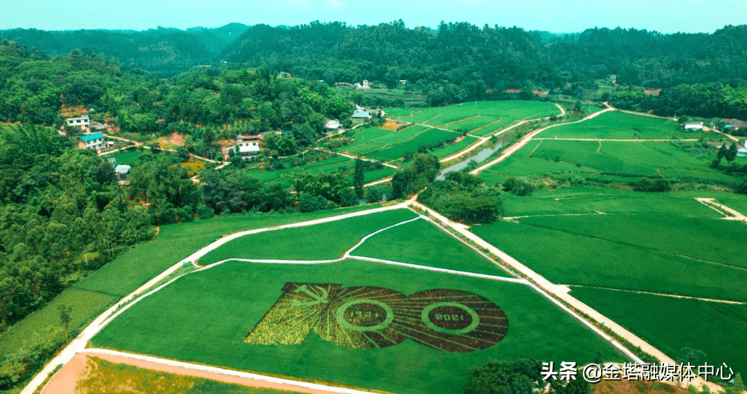 乡村振兴乐山青平镇振兴之路绘蓝图田园美景看青平