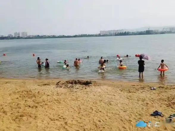 8月2号下午,鱼梁洲经济开发区管委会联合环岛景观带运营管理方在沙滩