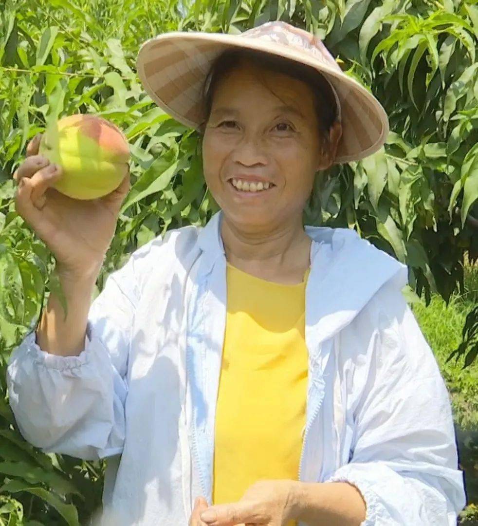 细嫩的果肉满满的汁水甜在心间的三湖黄桃正火热上市中