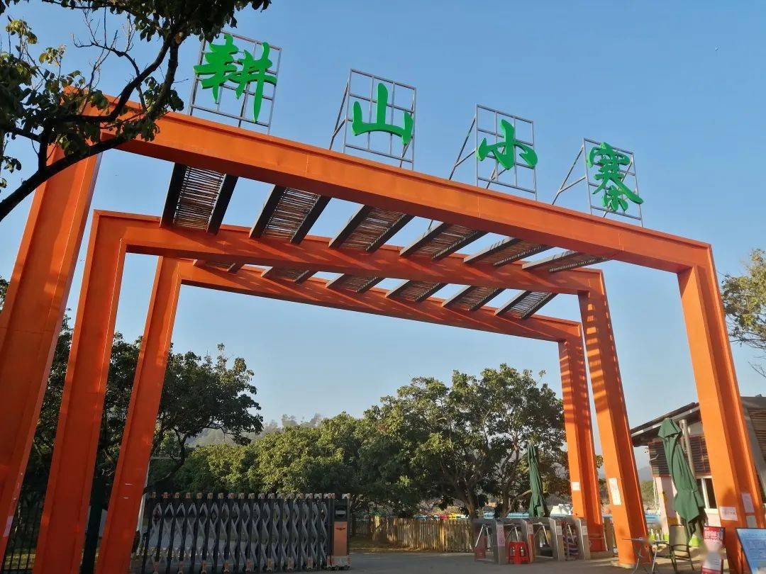 东莞耕山小寨99人秒杀龙眼现摘免费吃20项特色游乐350亩户外农场撒欢