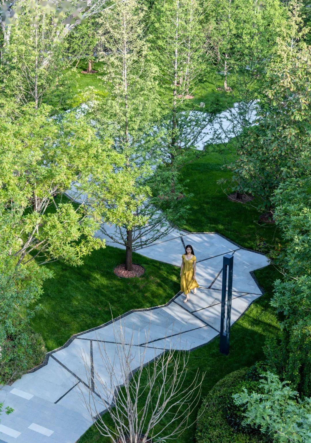 园纳自然,林隐万物 | 大连龙湖尘林间