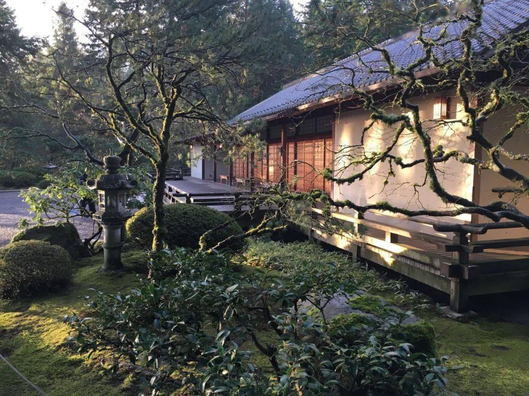 等看尽世间繁华,想有个禅意小院