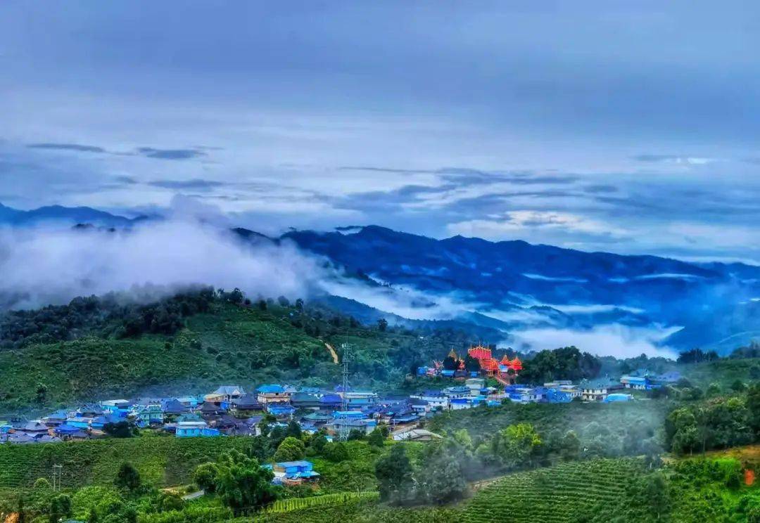 守边有我全力守好布朗山的美丽底色践行最质朴的誓言