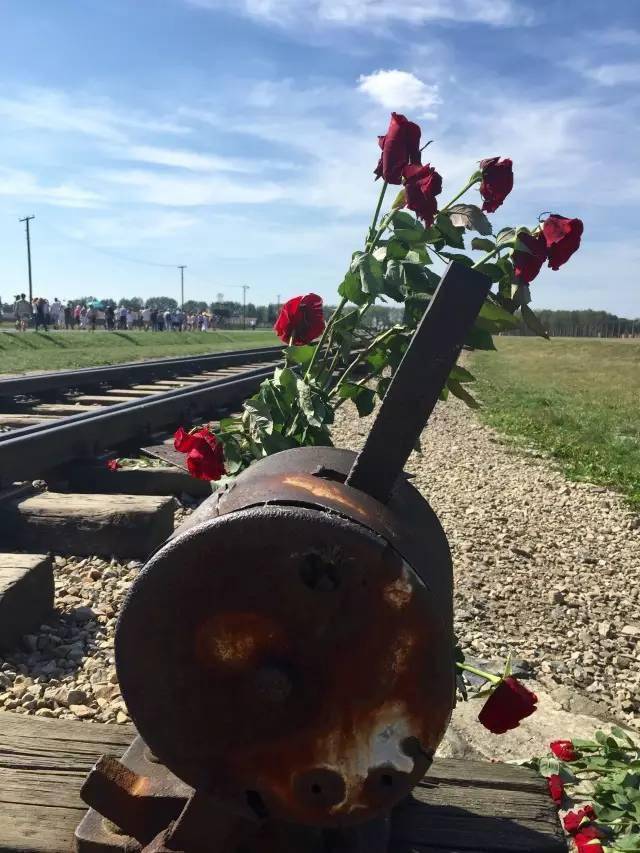 人性的终点奥斯维辛集中营