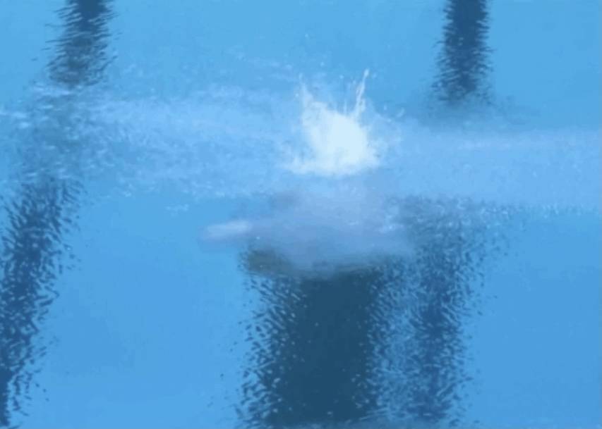 "别人都是在努力压水花,而全红婵则是使用了"水花消失术",大家都惊讶